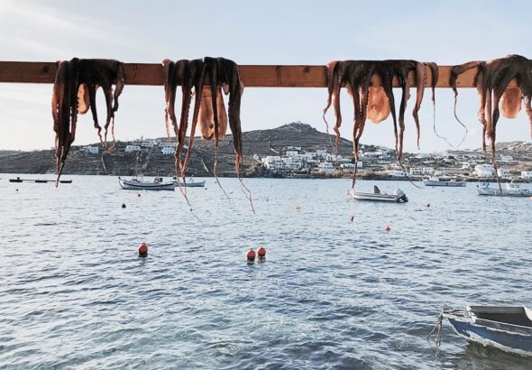 Fishing-in-Greece-A-Guide-to-the-Best-Destinations-for-Anglers