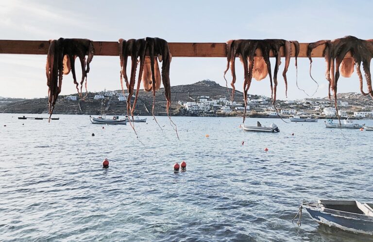 Fishing-in-Greece-A-Guide-to-the-Best-Destinations-for-Anglers