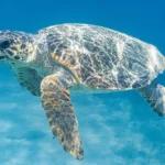 0c03d925-6692-4026-97c6-fb1efe9ac054